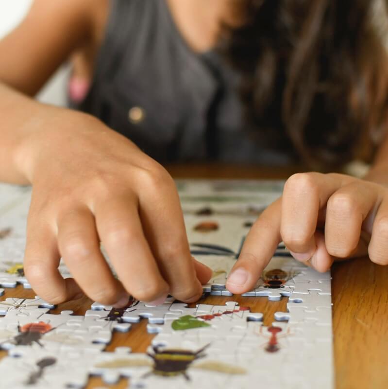 POPPIK Puzzle enfant 500 pièces affiche Les insectes