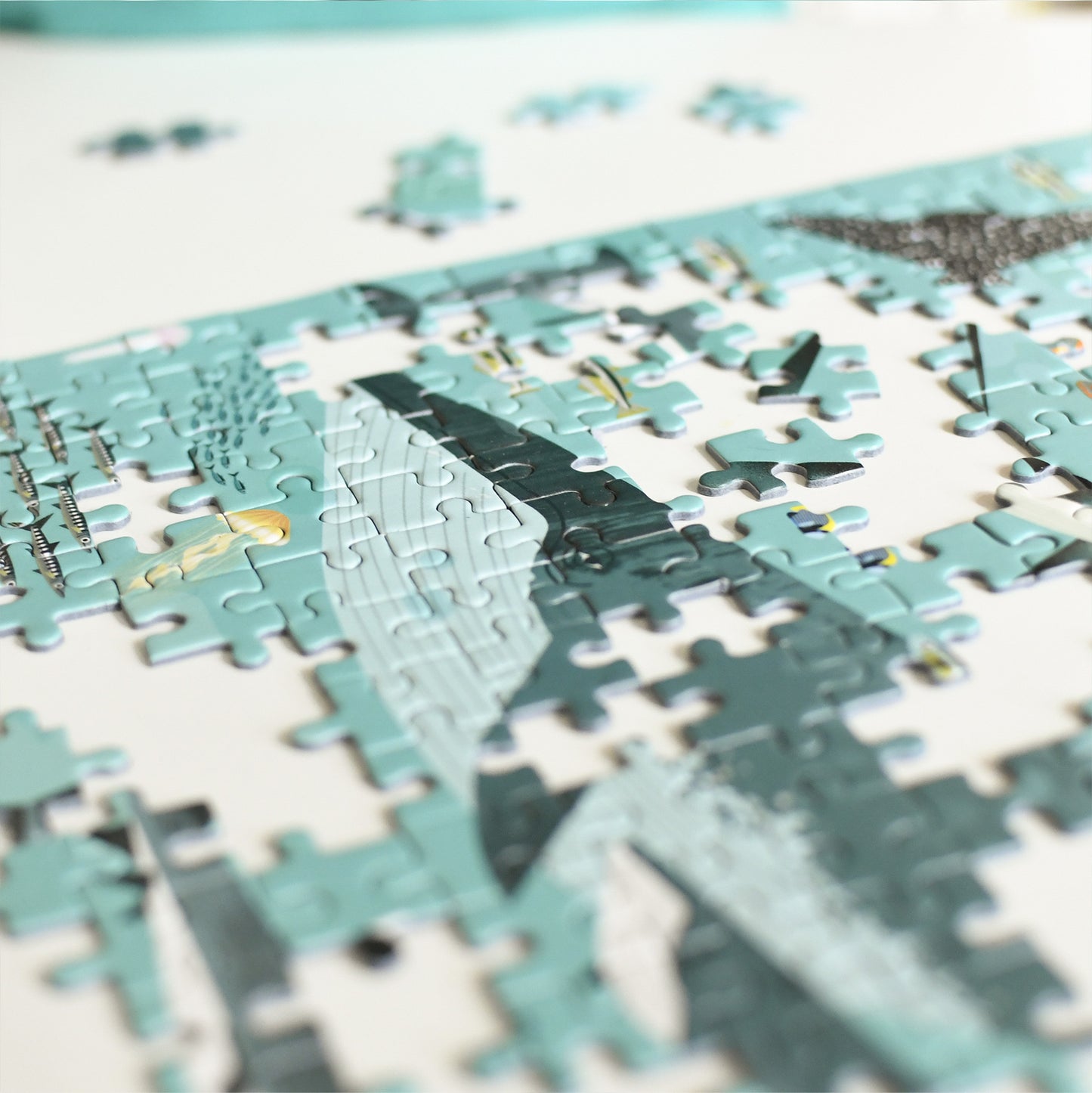 puzzle océans poppik