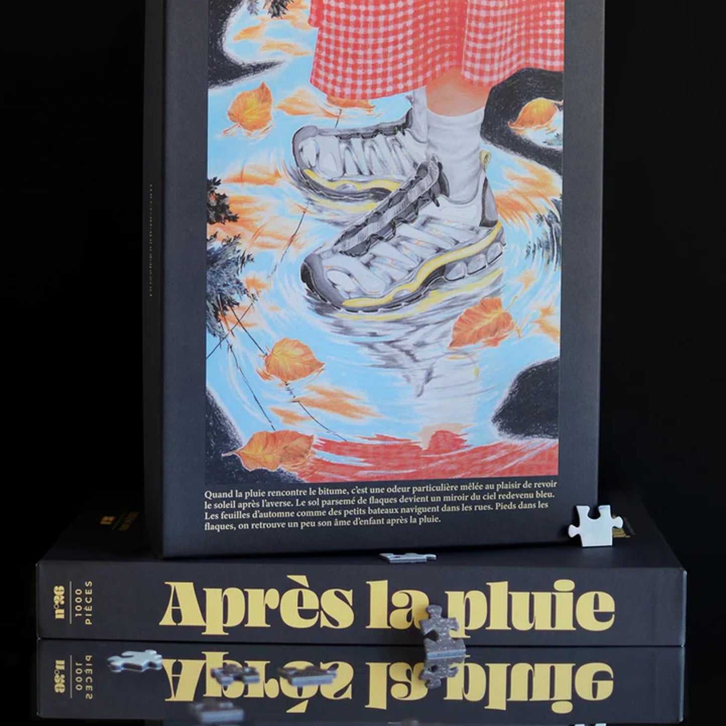 Puzzle 1000 pièces Après la pluie