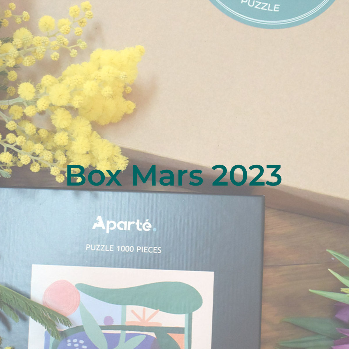 Abonnement box puzzle Pièce rapportée Pièce rapportée