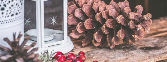 Puzzles d'hiver