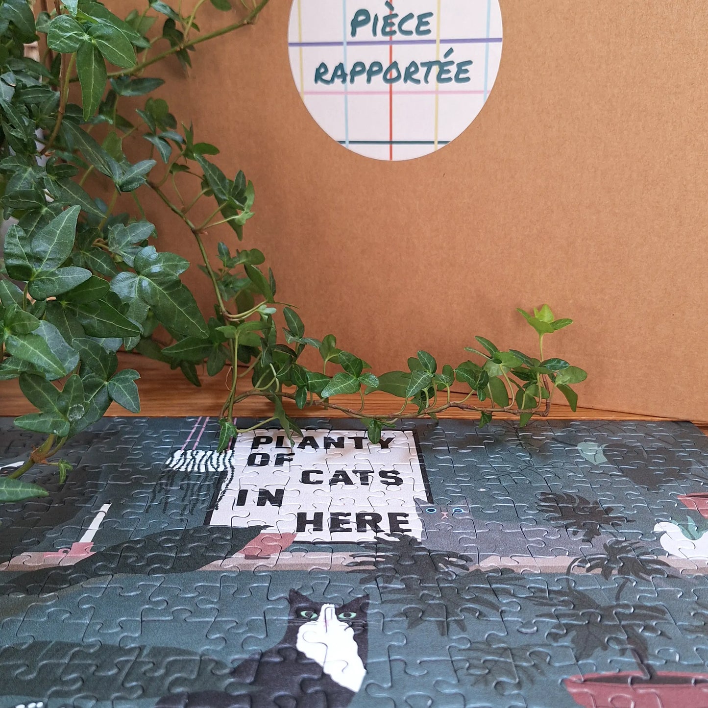 puzzle planty of cats typealive 500 pièces box puzzle pièce rapportée