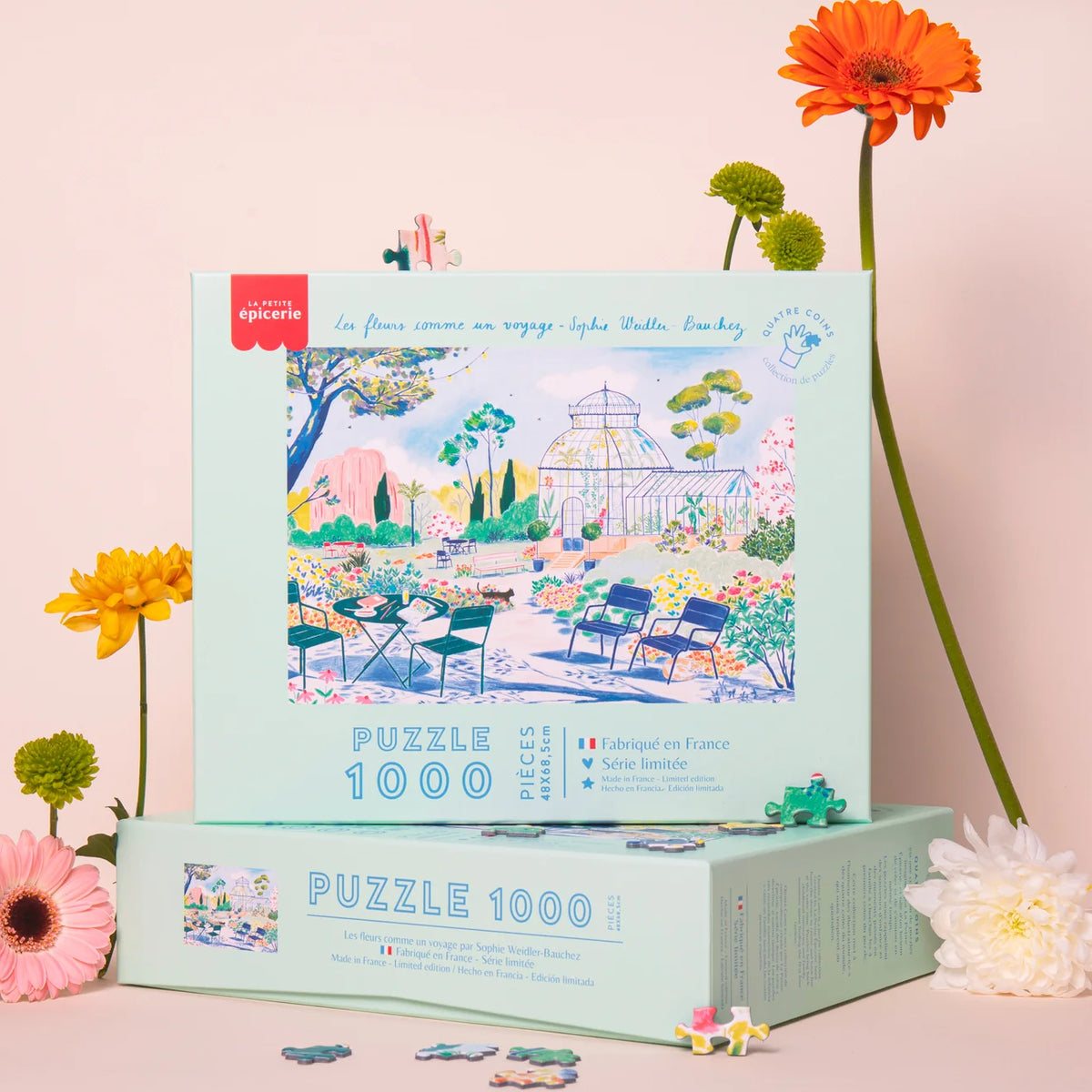 Puzzle 1000 pièces : Balade à Caen – Aparté